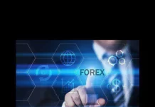 forex-trading-killer