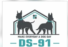 ds91-dogs-kennel