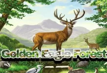 golden-eagle-forest