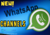 WhatsApp-channels-list