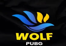 wolf-pubg-store
