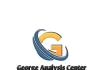 george-analysis-center