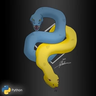 python-learning
