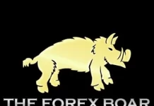 the-forex-boar