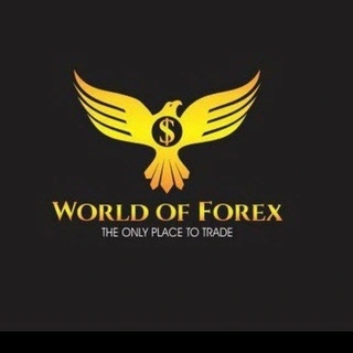 word-of-forex