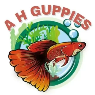 guppies-and-other-live-fish-salieing