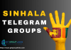 sinhala-telegram-group-link